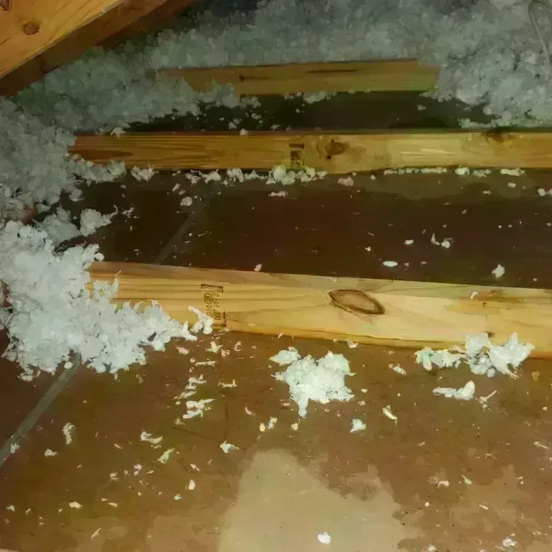 Attic Water Damage in Junction, UT